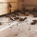 Entech Pest Management Inc - Pest Control Equipment & Supplies