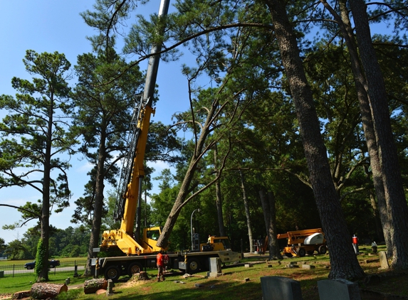 Eager Beavers Tree Service - Harvest, AL