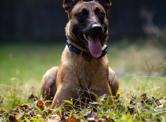 Blackhawk K-9 - Stafford, VA