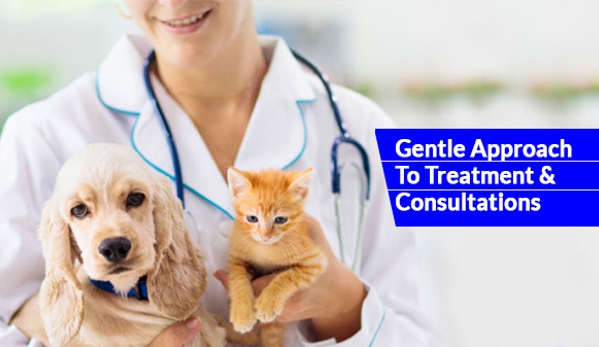 The Veterinary Hospital North - Clarkson, WA. Gentle Approach To Treatment & Consultations