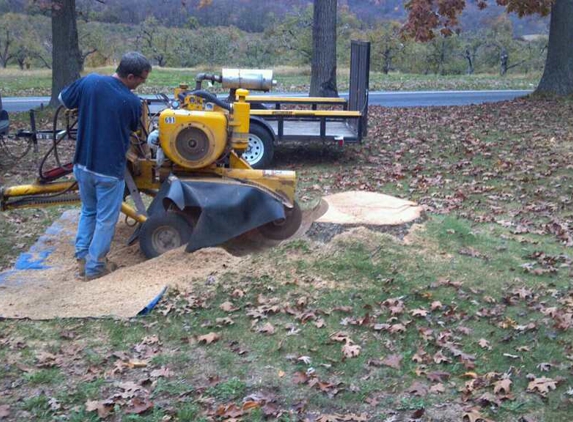 Brining's Stump Grinding - Hedgesville, WV