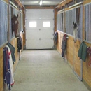 Canterbury Stables - Horse Boarding