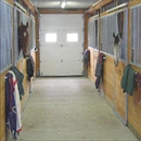 Canterbury Stables - Horse Rentals