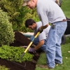 Amigos Landscaping Shelton WA gallery