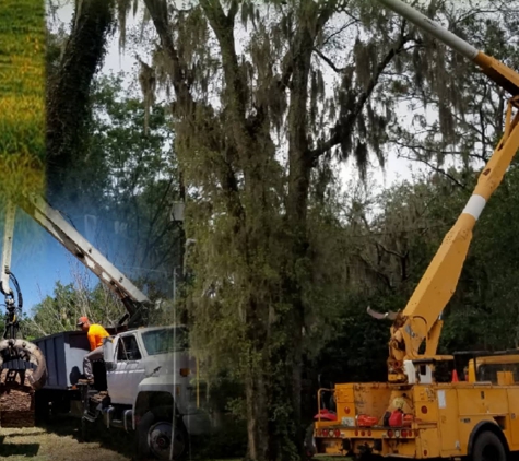 Sansom's Tree Service - Mulberry, FL