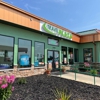 Bp Oil gallery