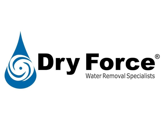 Dry Force Water Removal Specialists - Irving, TX