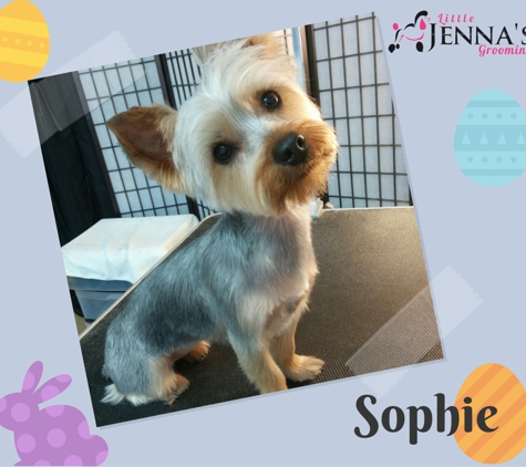 Little Jenna's Grooming - Chantilly, VA