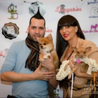 King Tut Pet Styling & Fashion