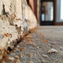 Victory Pest Solutions - Pest Control Equipment & Supplies