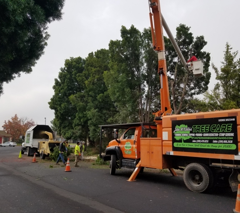 John N Eddie's Tree Care - Stockton, CA