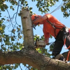 Axe to Grind Tree Service, LLC