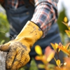 Fcm Tree Services gallery