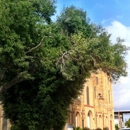 Our Lady of Guadalupe Church - Catholic Churches