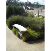 Gallery Image Number 6