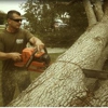 Rite Guys Tree Service gallery