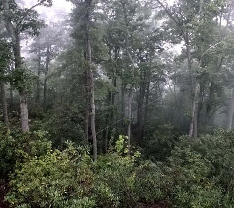 The Gorge Zipline - Saluda, NC