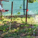 Bee Wise Pest Control - Pest Control Equipment & Supplies
