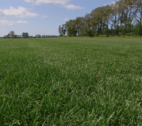 Red Hen Turf Farm Inc - New Carlisle, IN