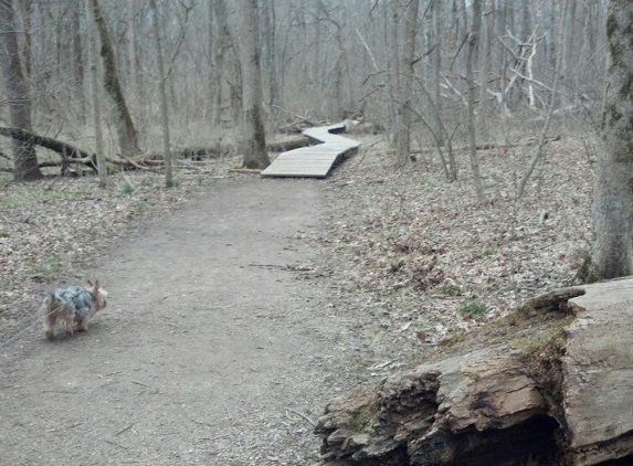 Glen Helen Nature Preserve - Yellow Springs, OH