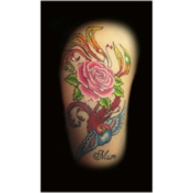 Gallery Image Number 3