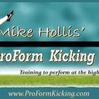 ProForm Kicking Academy