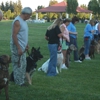 Guaranteed Dog Training gallery