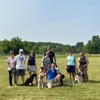 Great Off Leash Dog Training gallery