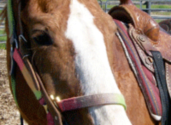 Castle Garden Stables - Chandler, IN