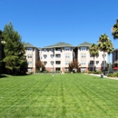 The U Apartments - Apartments