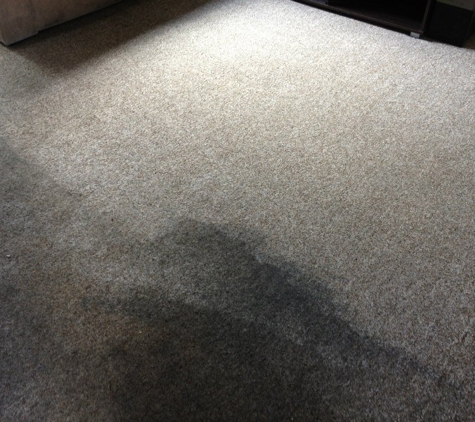 Z Best Carpet Care
