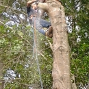 H & L Tree Service - Tree Service