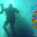 Ocean Adventures Dive - Divers