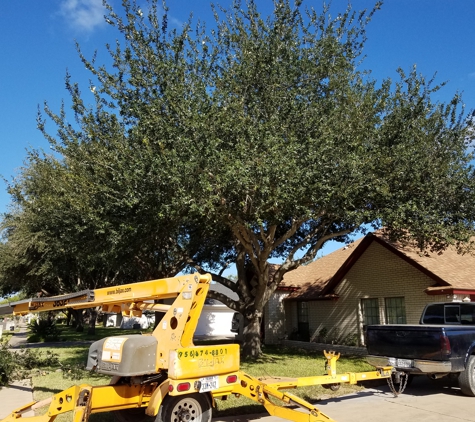 Carranza Tree Service - Mission, TX