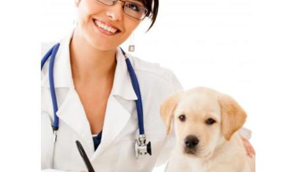4 Paws Veterinarians - Kirwan, QLD