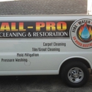 All-Pro Cleaning & Restoration - Mold Remediation