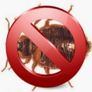 A Alert Exterminating Service Inc Chicagoland - Pest Control Services