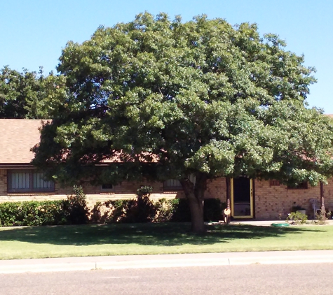 Quality Tree Care - Lubbock, TX