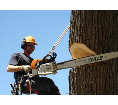 TreeSpec Professional Arborists
