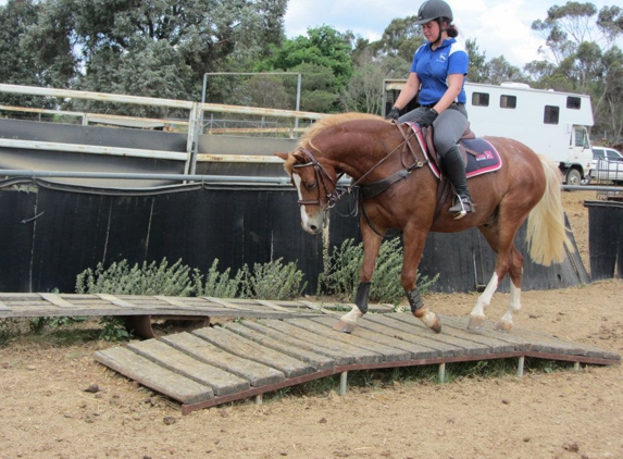 Forest Park Riding & Equitation School - Stromlo, ACT