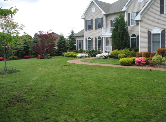 Andora Lawn Care