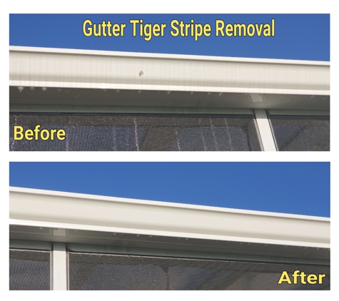 Henderson Power Washing Services - Spindale, NC. Tiger Stripes off the Gutter!