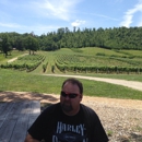 Nottely River Valley Vineyards - Wine