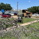 Wood Work Tree Service - Tree Service