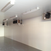 Gallery Image Number 4