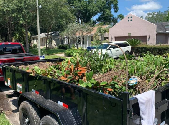 Native Landscape & Drainage - Tampa, FL