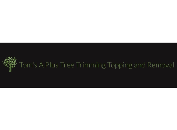 Tom's A Plus Tree Trimming Topping and Removal - Garden Grove, CA