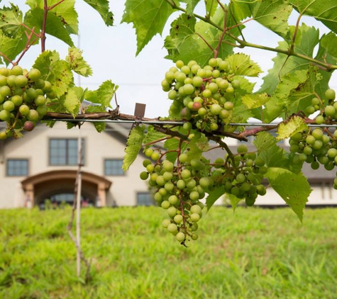 Labelle Winery - Amherst, NH