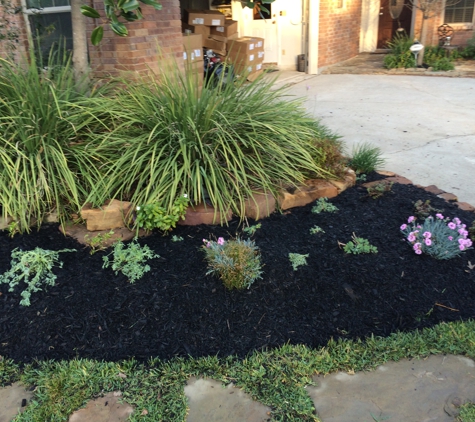 Hastings Curb Appeal - New Caney, TX