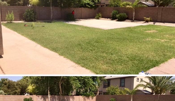 CGL Landscaping - Chandler, AZ